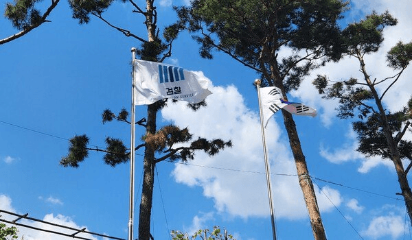 BChoSN/11995/5804109712101323821