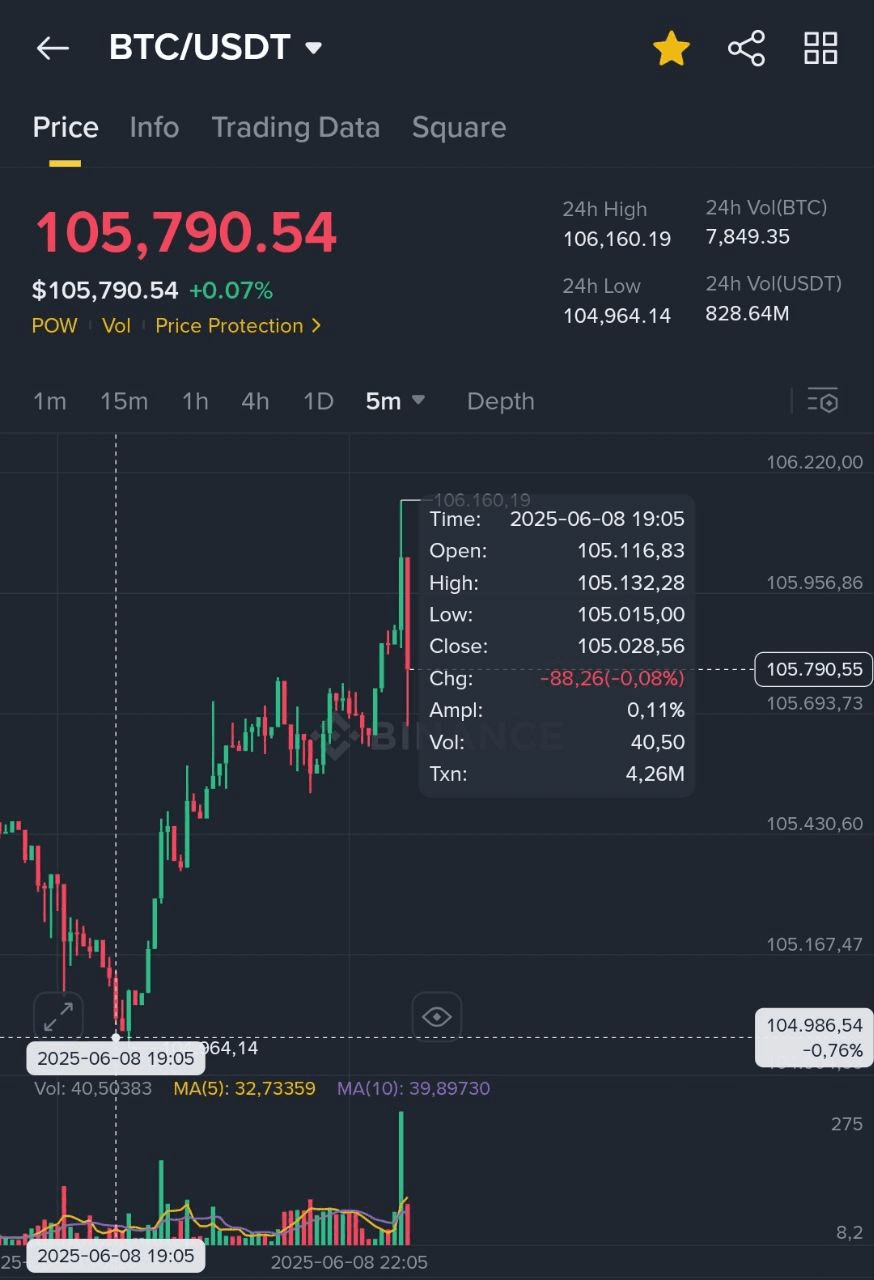BChoSN/15604/6208278246462703198