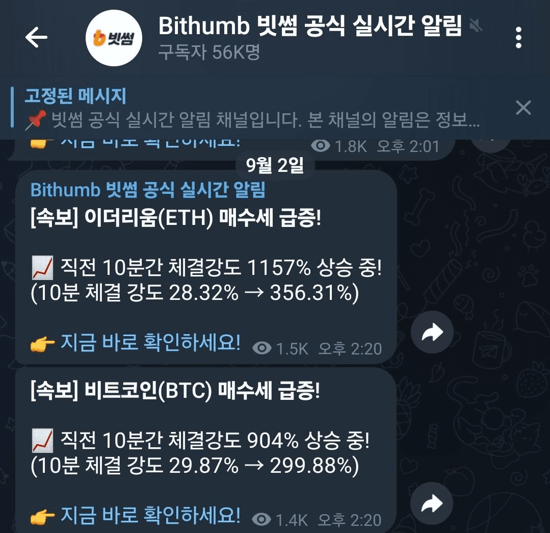 BChoSN/16678/6174487608441296875