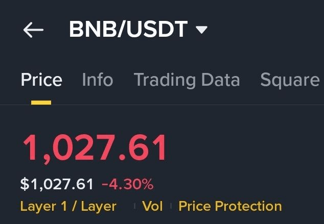 BChoSN/17136/6235791673816892826