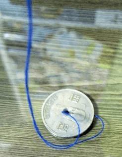 BChoSN/18499/6078054545993961085