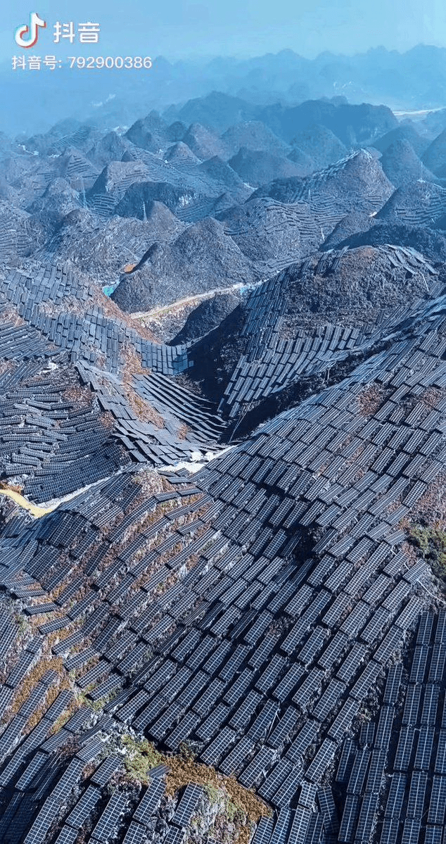 BChoSN/19107/6156940596866648870