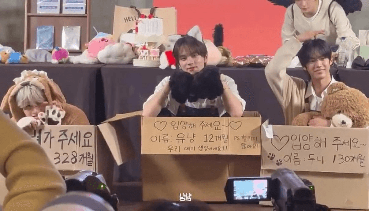 BChoSN/20093/6271482413963742472