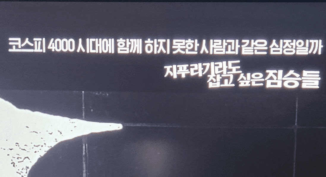 BChoSN/20432/6302802595386428754