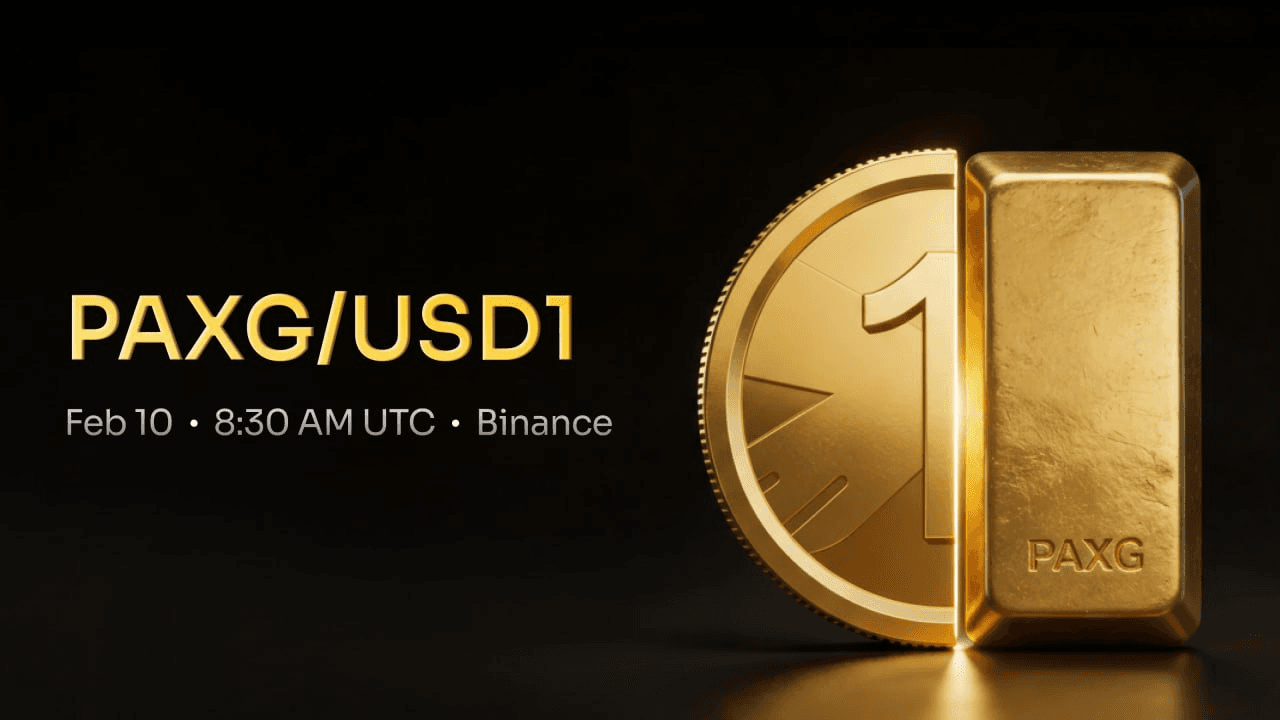 BChoSN/21272/6080016328140983455