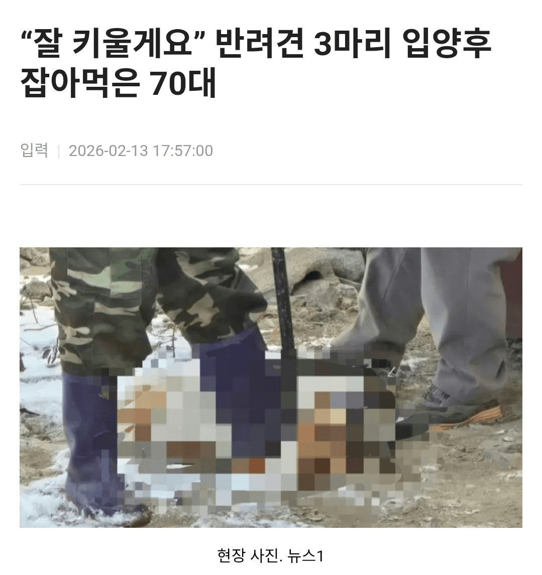 BChoSN/21483/6102638401925352858