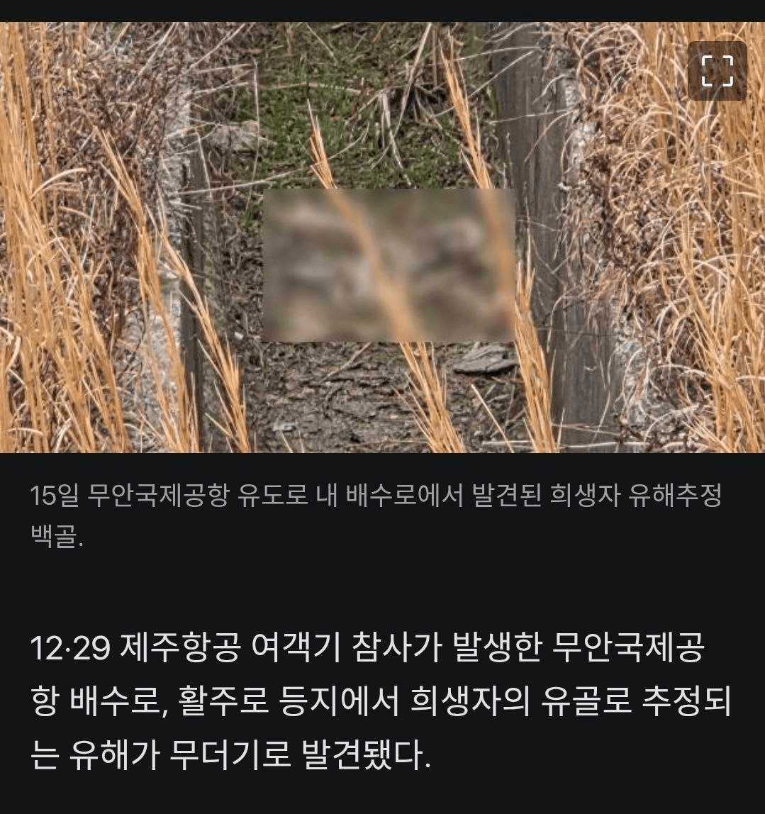 BChoSN/22346/6177158227699633797