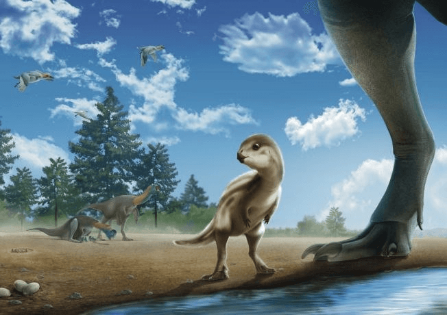 BChoSN/22592/6192890813163966053