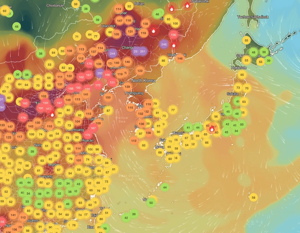 BChoSN/22861/6231254294275493392