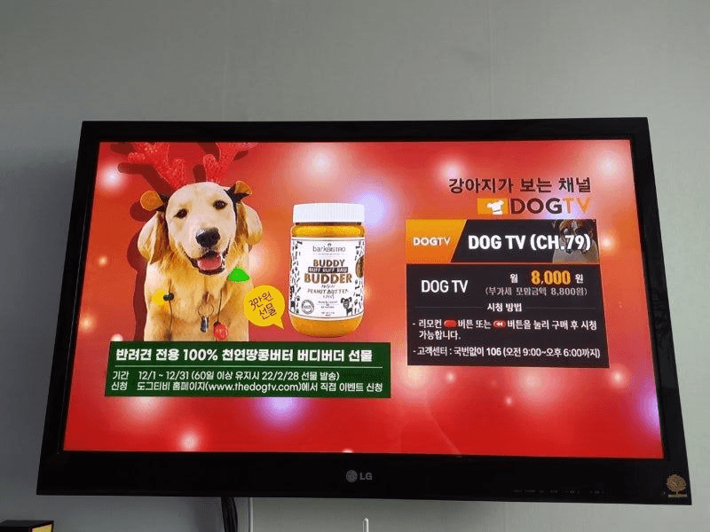 BChoSN/22915/6237602994673356280