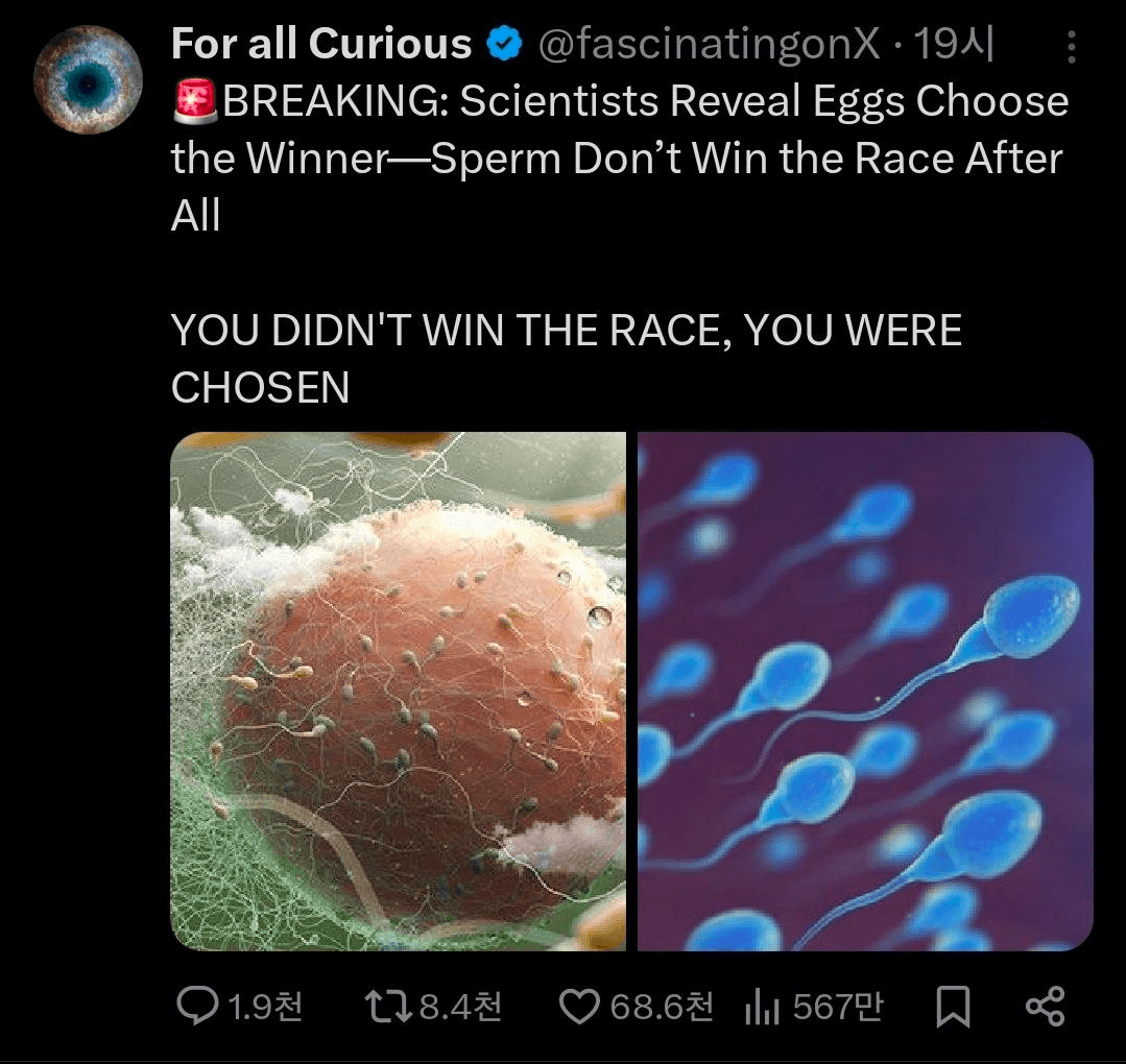 BChoSN/22922/6237602994673356490