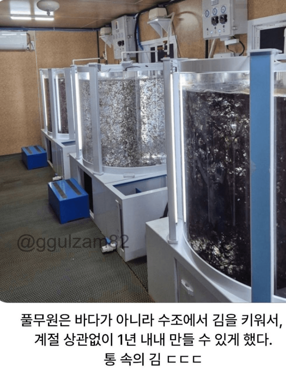 BChoSN/23251/6262509084821097837