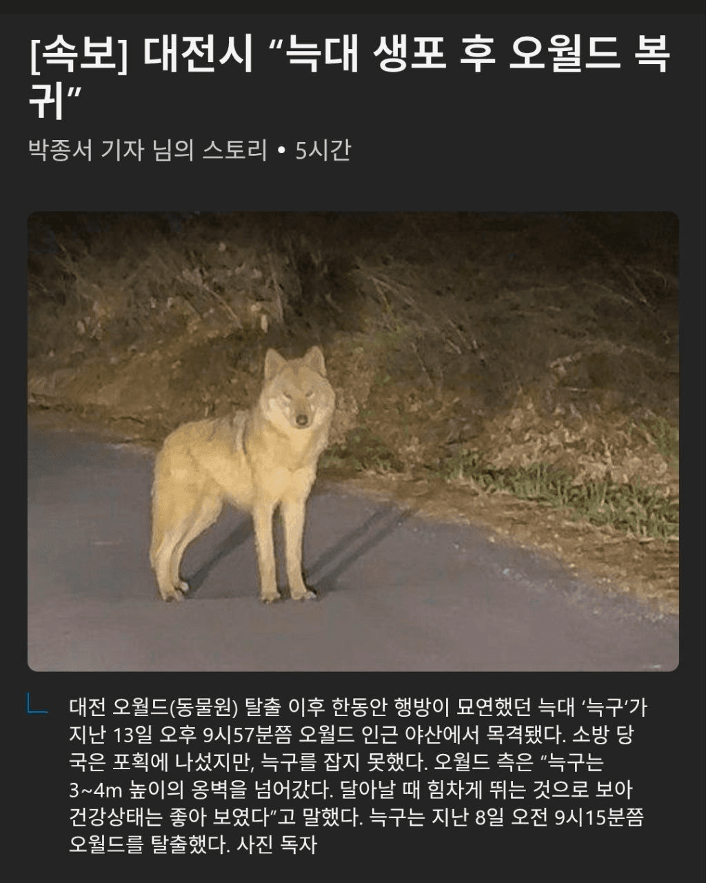 BChoSN/23390/6271382607513718951