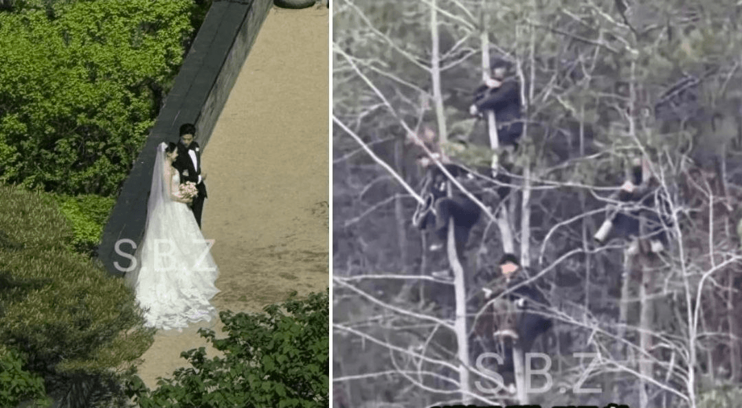 BChoSN/23746/6296453263628374715