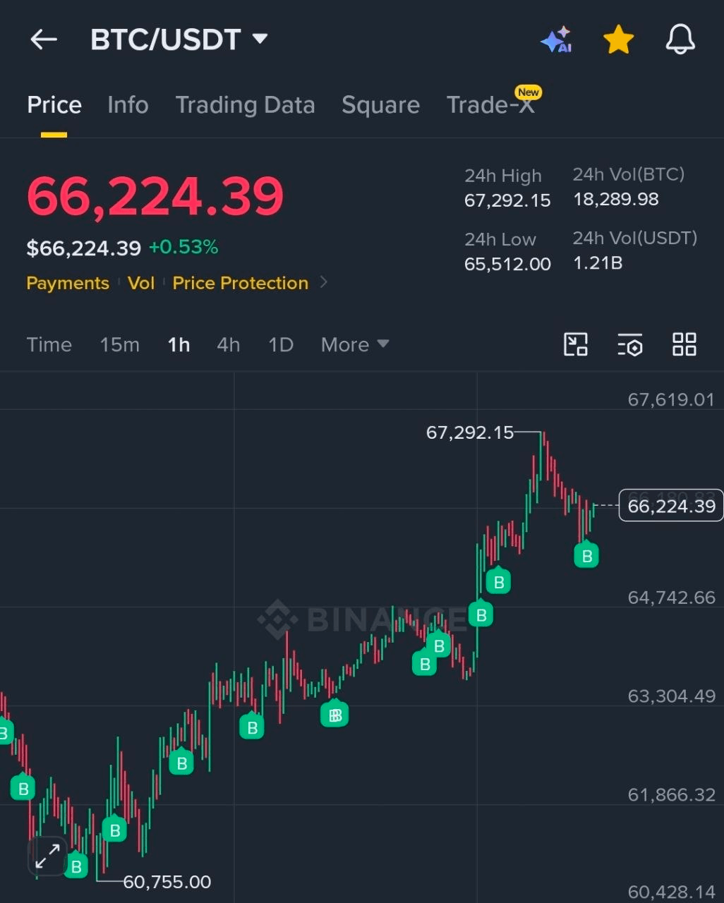 BChoSN/25902/6163414779029032796
