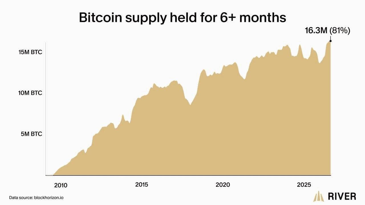 BChoSN/30993/6179411431967626049