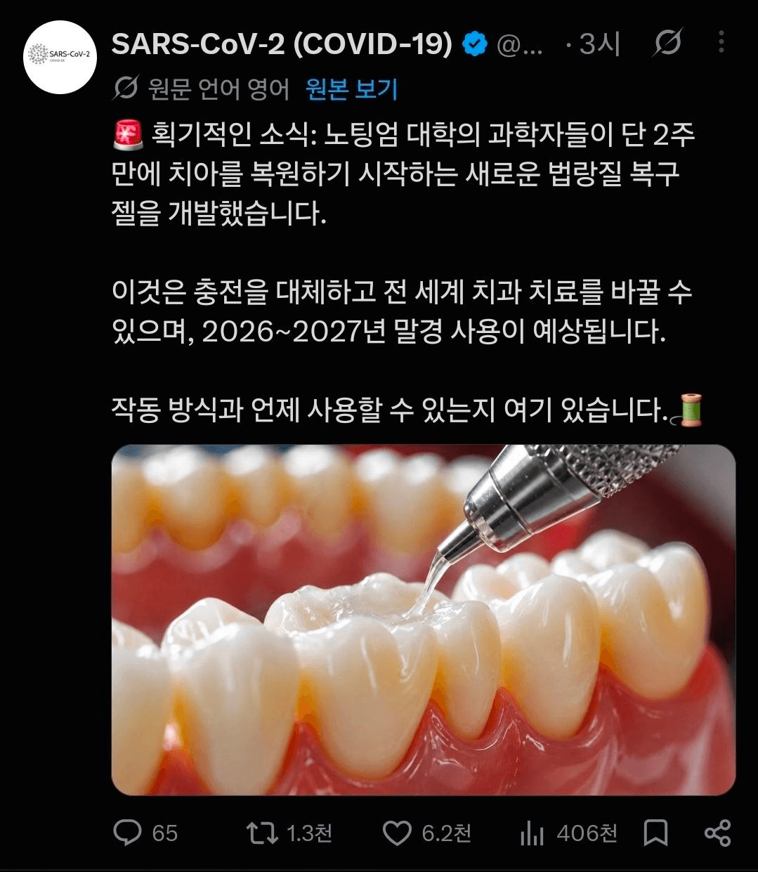 BChoSN/30999/6179411431967626135