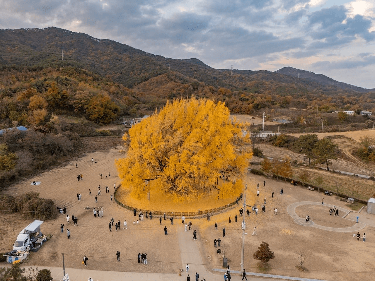 원주 반계리 은행나무 800살 거짓으로 밝혀짐

최소 1317살이라고 함
통일신라, 대조영의 발해시대