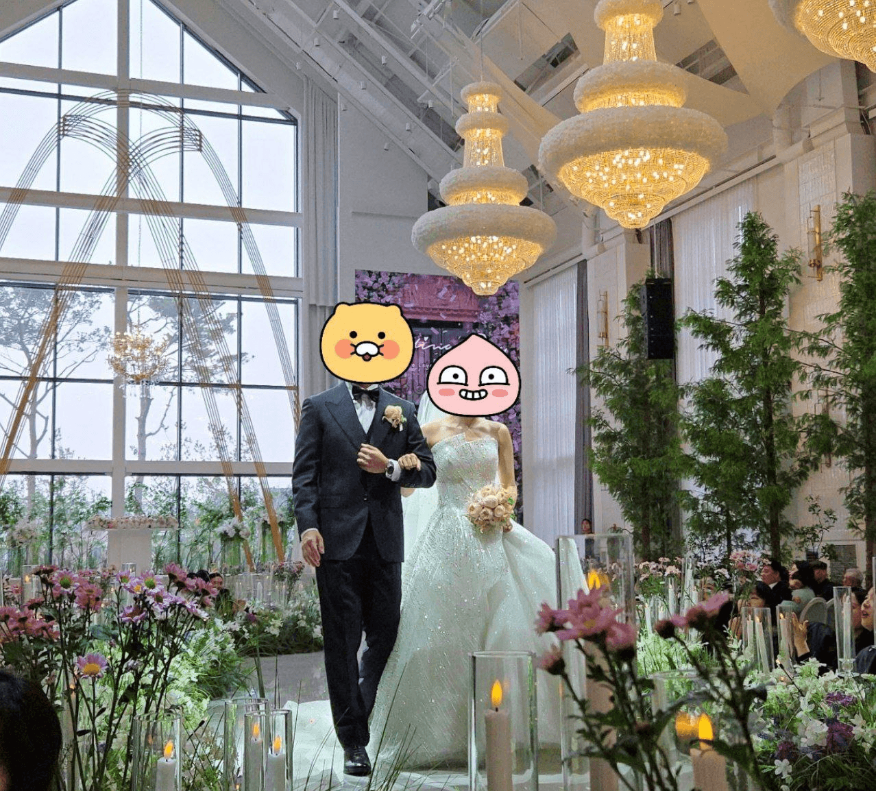 BMTube/9181/6301064576740560531