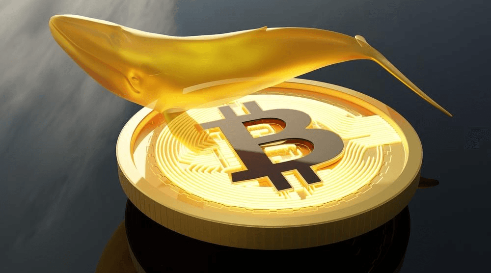 NEWS_CRYPTO_BLOCKCHAINS/137535/5851731617989637107