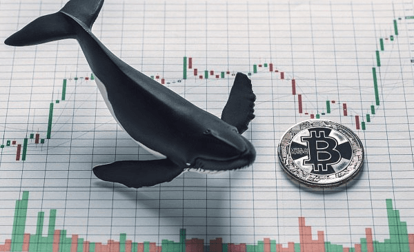 NEWS_CRYPTO_BLOCKCHAINS/140562/5799668187636282355