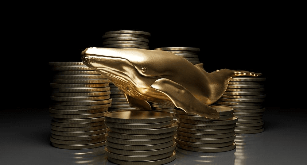 NEWS_CRYPTO_BLOCKCHAINS/143538/5792767833048986478