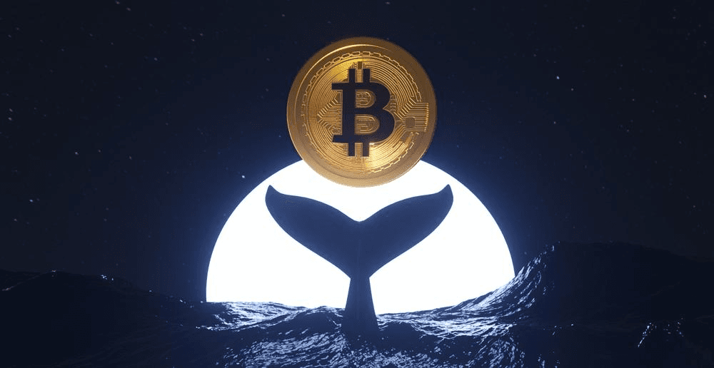 NEWS_CRYPTO_BLOCKCHAINS/146843/5962059621197788536