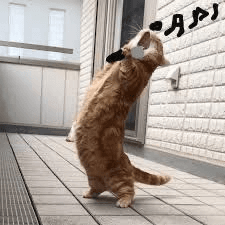 Ugh_HH/41577/6084837420337053157