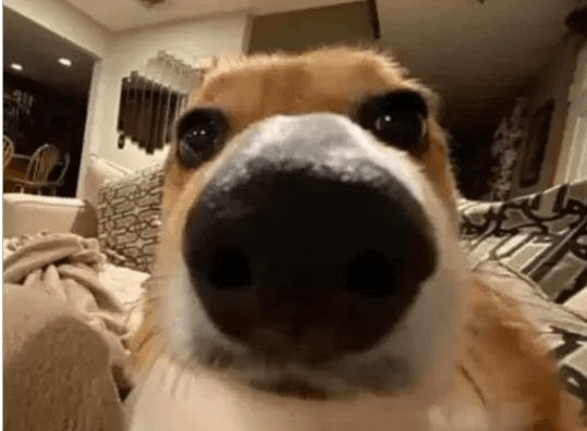 Ugh_HH/43701/6185851851388337291