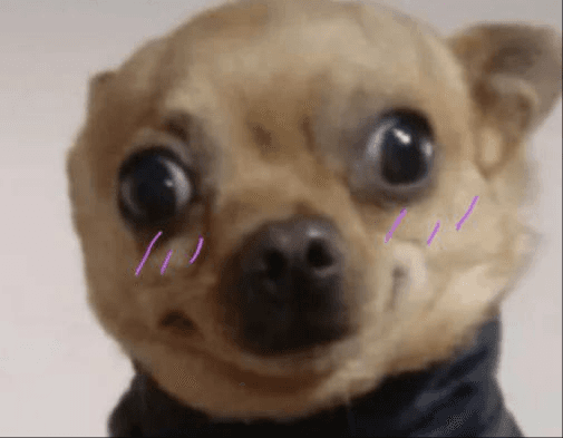 Ugh_HH/43892/6235335123088292655