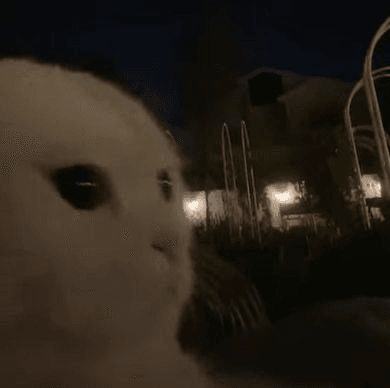 Ugh_HH/52482/6248836159509742405