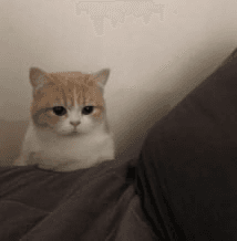 Ugh_HH/52941/6271476538444728462