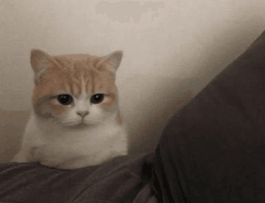 Ugh_HH/52997/6271476538444728721