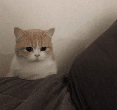 Ugh_HH/53001/6271476538444728728