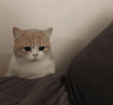 Ugh_HH/53021/6271476538444729018