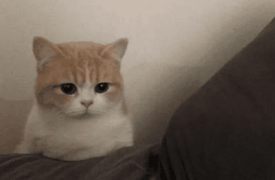 Ugh_HH/53069/6276154432139937721