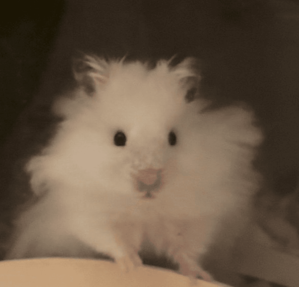 Ugh_HH/53190/6282700885717010238