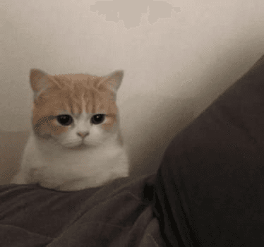 Ugh_HH/53552/6296192395900994601