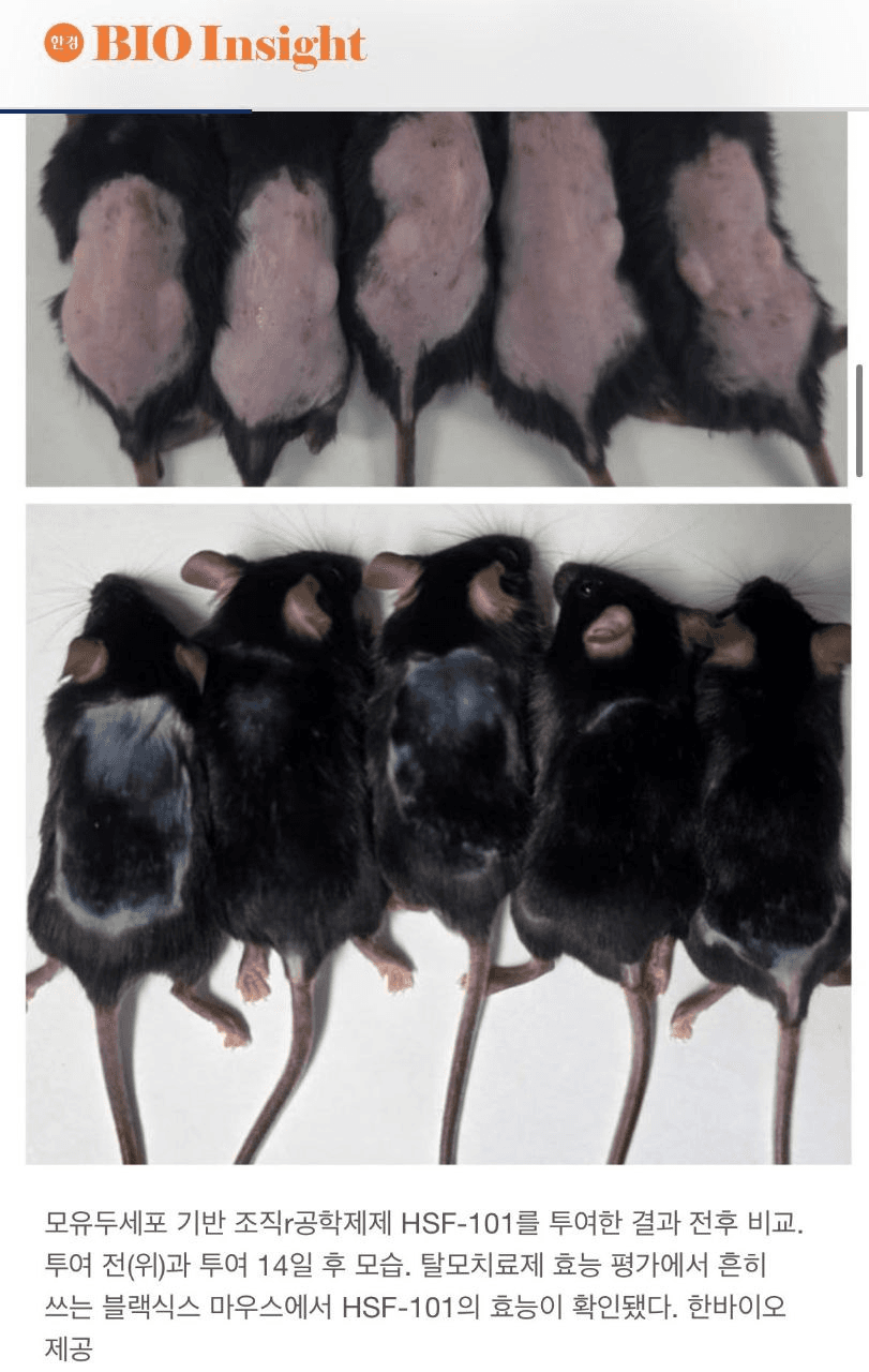 Ugh_HH/54126/6316435508774946247