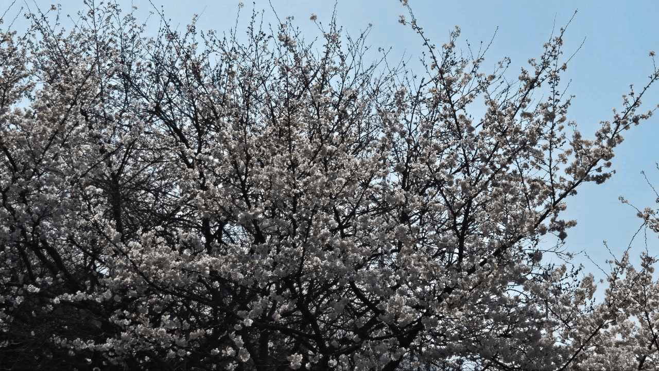 Ugh_HH/54127/6316435508774946256