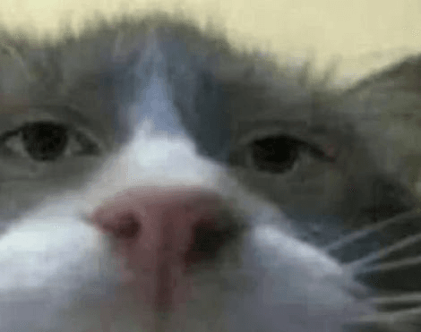 Ugh_HH/54377/6321097425191814590