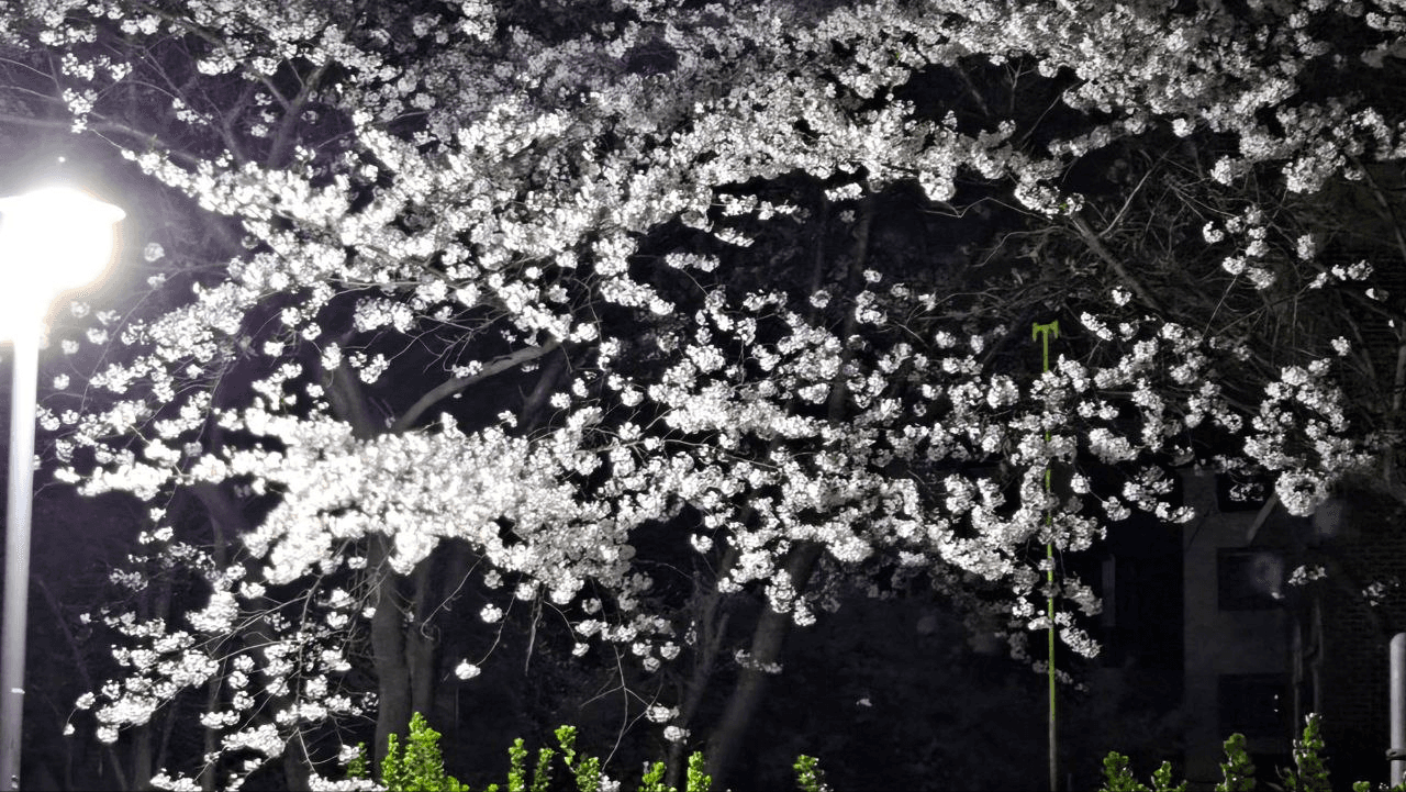 Ugh_HH/54424/6325549334887777050