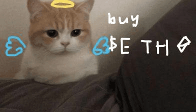 Ugh_HH/54439/6325549334887777106