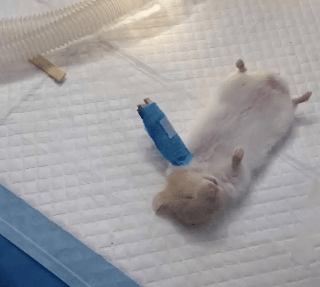 Ugh_HH/54695/6052917034414621510