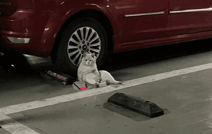 Ugh_HH/54806/6057453997347948562