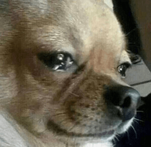 Ugh_HH/54860/6066644772094853431