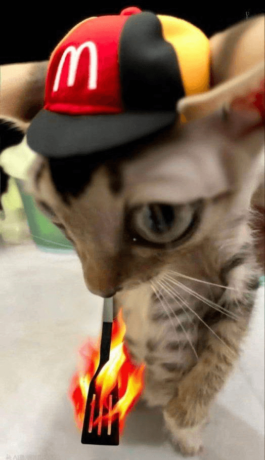 Ugh_HH/54861/6064335015992477409