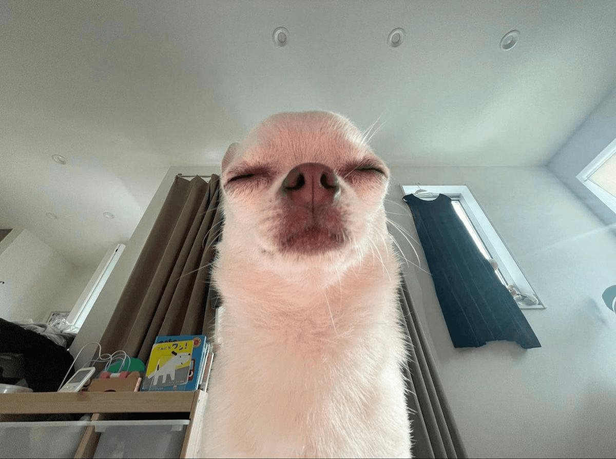 Ugh_HH/54889/6066393147140850998