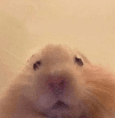 Ugh_HH/54942/6070896746768221973