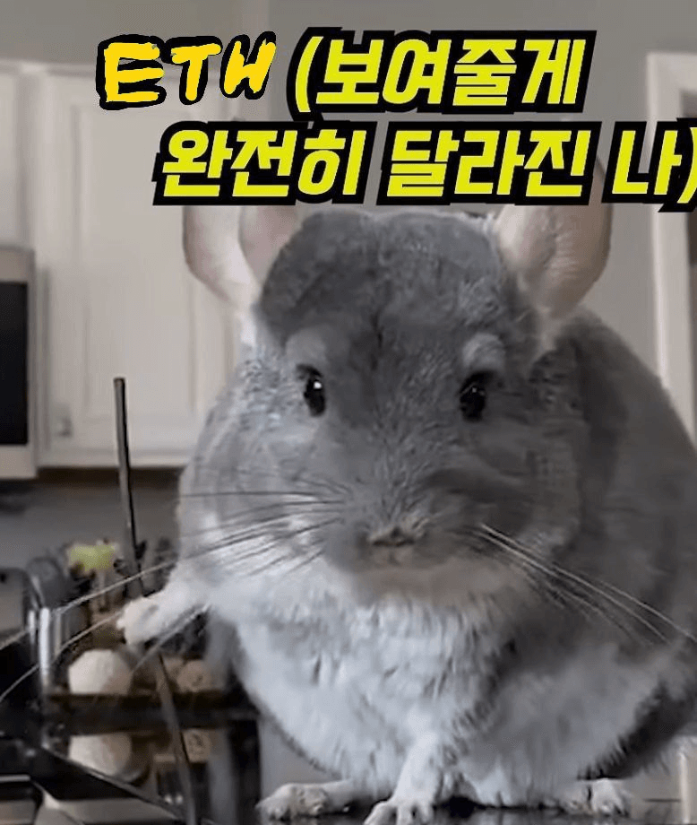 Ugh_HH/55030/6078155610865648054